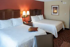 Hampton Inn & Suites Watertown - Chambre