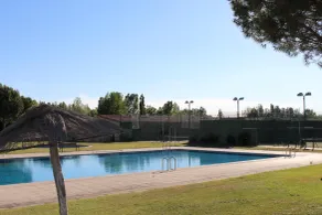 Vettonia - Pool