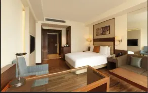 DoubleTree by Hilton Agra - Room