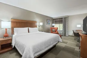 Hampton Inn Danbury - Chambre