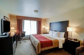 Comfort Inn & Suites Amarillo West Near Medical Center - Rum