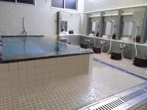 Business Hotel Taiyo - Spa