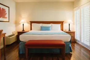 Alamo Inn and Suites - Convention Center - Chambre