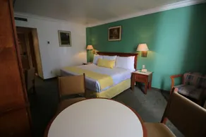 Hotel María Cristina - Habitación