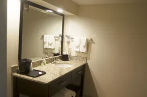 Sleep Inn & Suites Buffalo Airport - Salle de bain
