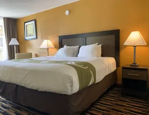 Quality Inn University Area - Chambre