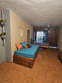 Jungla Bacalar - Rom