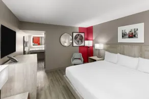 Ramada By Wyndham Kenner/New Orleans Airport South - Chambre