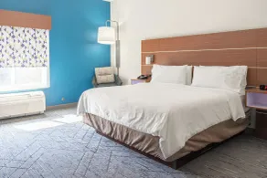 Holiday Inn Express Hotel & Suites Lake Zurich-Barrington by IHG - Chambre