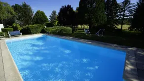 Logis Hôtel Relais de Vincey - Pool