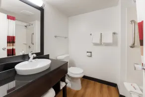 Red Roof Inn PLUS+ Columbus - Worthington - Bad