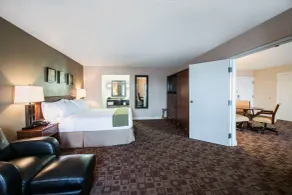 Holiday Inn Express Schaumburg-Rolling Meadows by IHG - Chambre