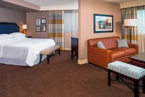 Sheraton North Houston at George Bush Intercontinental - Chambre