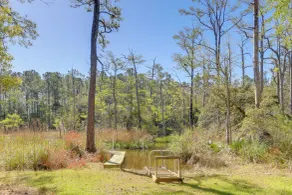 On-site Creek! Peaceful Wooded Retreat in Havelock - Innvendig