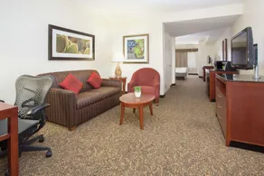 Hilton Garden Inn Avondale - Chambre