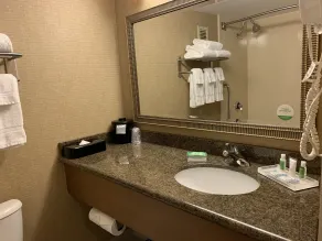Holiday Inn Johnstown-Downtown by IHG - Badeværelse
