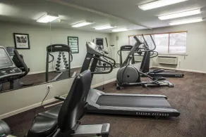 Quality Inn & Suites St Charles -West Chicago - Salle de remise en forme