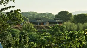 Maa Ashapura Resort - View from room