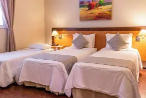 Dexter Hotel - Volta Redonda by Castelo Itaipava - Værelse