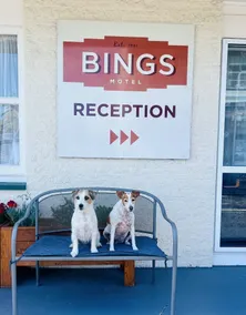 Bings Motel - Recepción