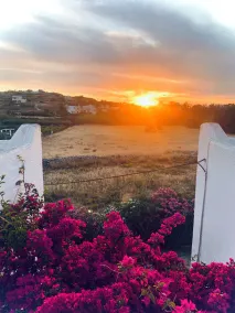 Pelagos Studios - Vue de la chambre