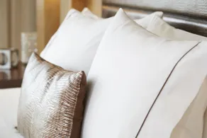 Renaissance St. Louis Airport Hotel - Chambre