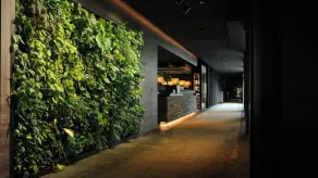 Anatura Hotel & Spa Luxembourg - Reception
