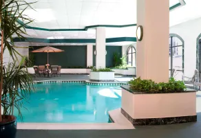 Embassy Suites by Hilton Houston Near the Galleria - Piscine