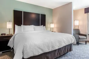 Clarion Inn & Suites Atlanta Downtown - Rum