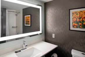 La Quinta by Wyndham Seattle Sea-Tac Airport - Salle de bain