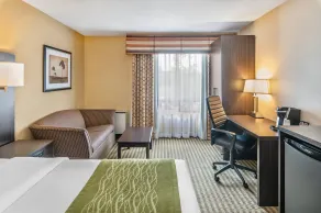 Comfort Inn Chatham - Chambre