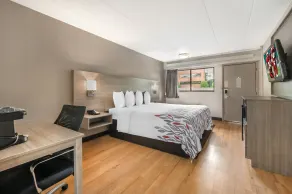 Red Roof Inn Virginia Beach - Room