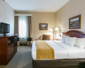 Comfort Inn Warrensburg Station - Chambre