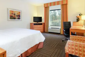 Hampton Inn Ringgold-Ft. Oglethorpe - Chambre