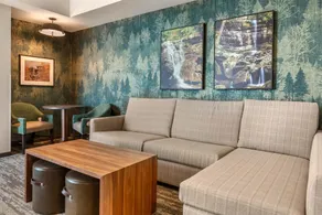 Drury Plaza Hotel Pigeon Forge - Chambre