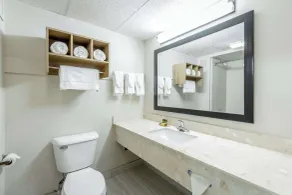 Comfort Inn & Suites Chattanooga-East Ridge - Chambre