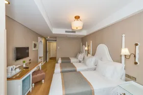 Hanna Hotel - Room