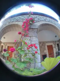 Eski Datca Evleri - Habitación