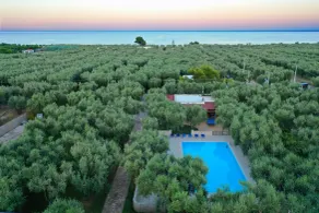 Apartment ulivo with pool and private beach - Pool