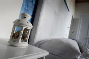 Hotel Caselle - Chambre