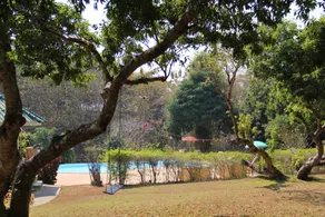 ViangPhing Resort - Piscina