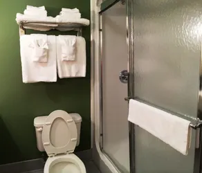 Sleep Inn & Suites Danville Hwy 58 - Salle de bain