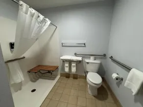 Jacksonville Inn and Suites - Bad