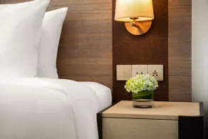 Radisson Chongqing South Hot Spring - Chambre