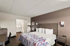 Red Roof Inn Binghamton - Johnson City - Room