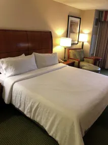 Hilton Garden Inn Addison - Chambre