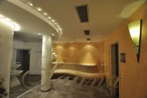 Hotel Alpin - Pool