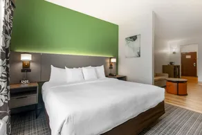 Comfort Suites Conference Center Rapid City - Rum