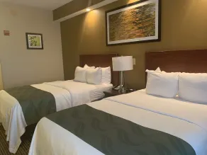 Quality Inn Palm Bay - Melbourne I-95 - Værelse