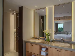 Novotel Bali Ubud Resort - Baño